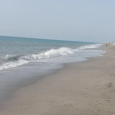Vera 2